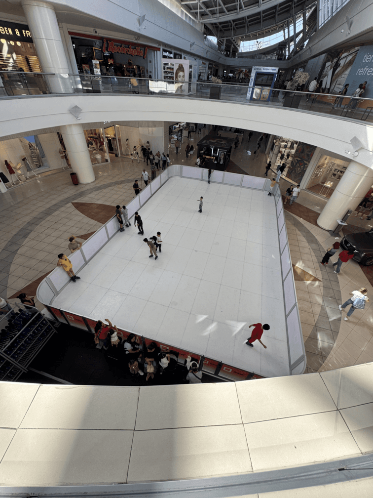 PISTA DE PATINAJE